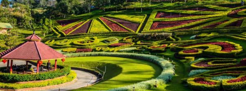 Doi Mae salong, tour chiang rai, one day tour