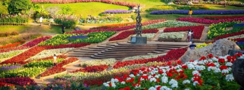 chiang rai tour, Doi Mae salong, one day tour